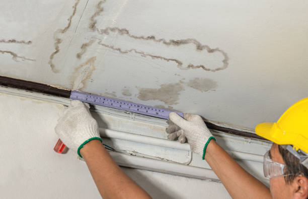 Reliable Water Damage contractor in Fentress, TX by Water Damage Irwin